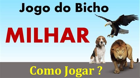 jogo do bicho milhar seca - jogo do bicho prêmio